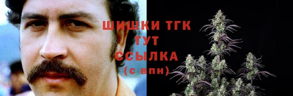 тгк Билибино