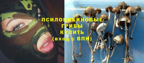 прущие крисы Нягань