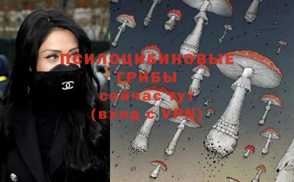 прущие крисы Нягань