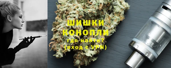 спиды Бикин