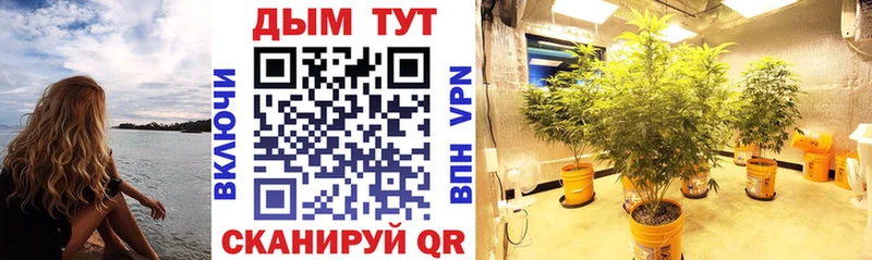 Бошки Шишки THC 21%  Шимановск 